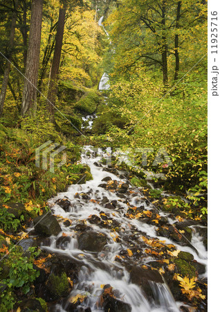Starvation Creek Falls, the stream and view of the waterfall in the Columbia river gorge. 11925716