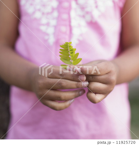 A child, a girl in a pink shirt holding a small fern leaf in her hands.  11925720