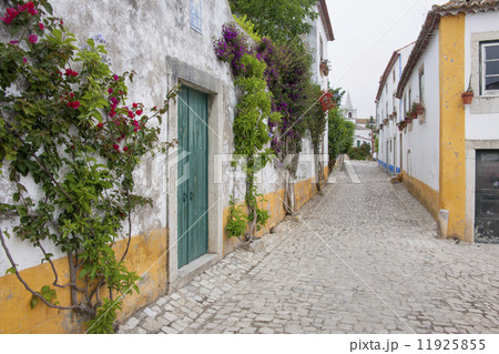 A quiet narrow street of traditional houses in the village of Sonega. A quiet narrow street of traditional houses in the village of Sonega. 11925855