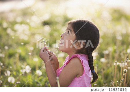 A young child in a field of flowers, blowing the fluffy seeds off a dandelion seedhead clock. A young child in a field of flowers, blowing the fluffy seeds off a dandelion seedhead clock. 11925856