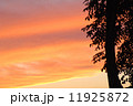 夕日 11925872