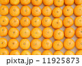 みかん 11925873
