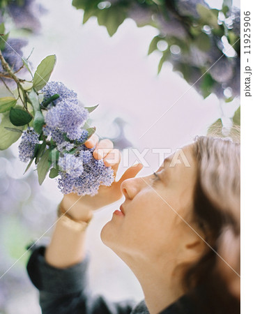 A woman pulling blue flowers towards her to inhale the scent. A woman pulling blue flowers towards her to inhale the scent. 11925906