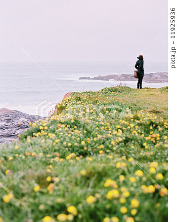 A woman standing on the cliffs looking out over the water. Wild flowers by the path. 11925936