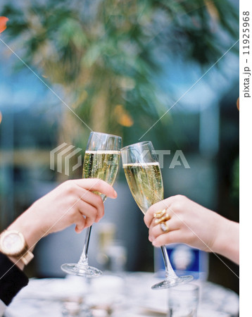Two women toasting each other with glasses of champagne. 11925968