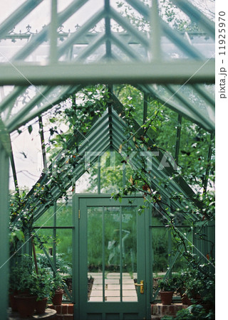 A wooden frame conservatory with plants. 11925970