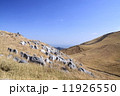 福岡県の平尾台はとっても快晴でした 11926550