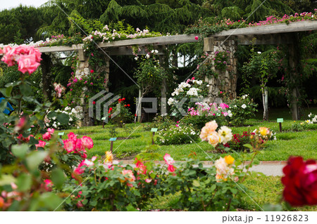 Cervantes Park in Barcelona 11926823
