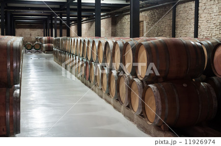 wooden barrels in winery wooden barrels in winery 11926974