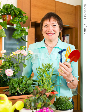 mature woman working with fresh flowers in pots 11928220