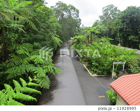 キュランダ鉄道 11928995