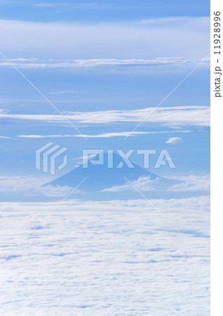 富士山と雲海 11928996