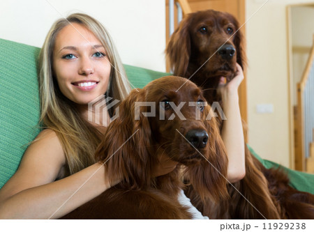Girl with two Irish setters at home Girl with two Irish setters at home 11929238