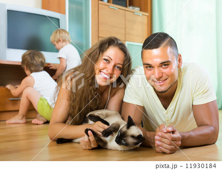 Family of four playing with kitten 11930184