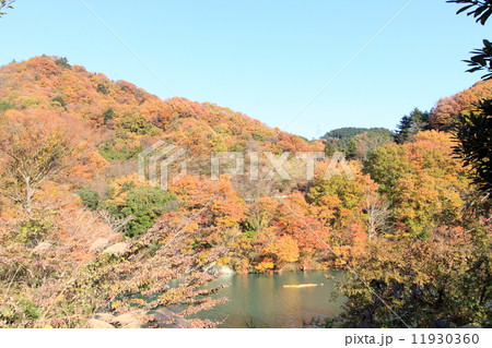 神奈川県・宮ケ瀬湖 11930360