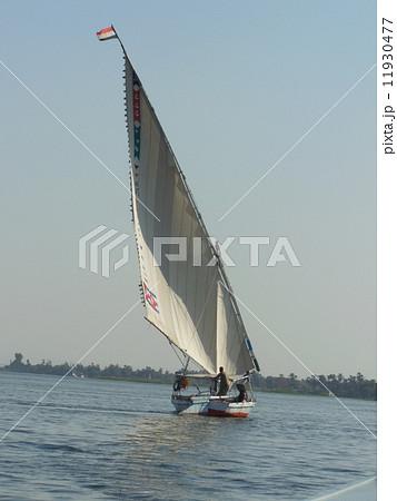 ファルーカセーリング 11930477