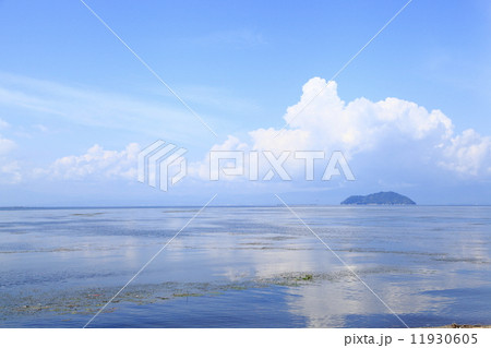 夏の終わり 夏の終わり 11930605