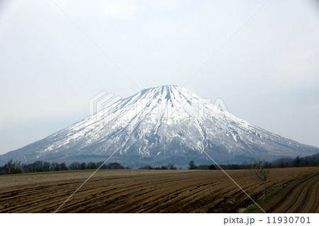 羊蹄山 羊蹄山 11930701