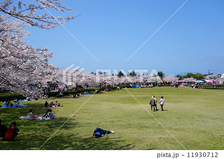 酒田市の日和山公園 11930712