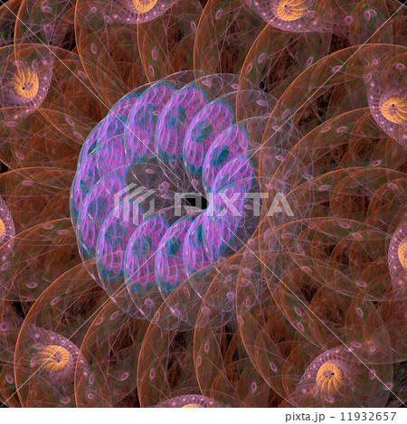Isolated anemone on the reef Isolated anemone on the reef 11932657