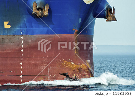 dolphin jumping over ship prow 11933953