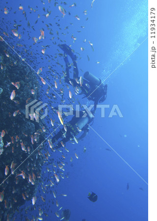handicapped disabled diver 11934179