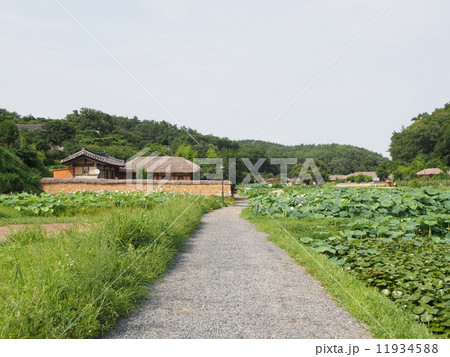 世界遺産　韓国　良洞民俗村 11934588
