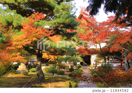 鹿王院（京都）庭園の紅葉 11934592