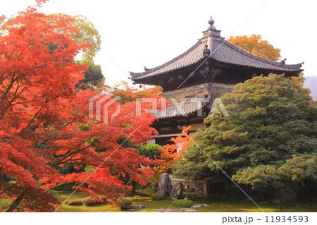鹿王院（京都）庭園の紅葉 11934593