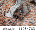 巣作り 11934783