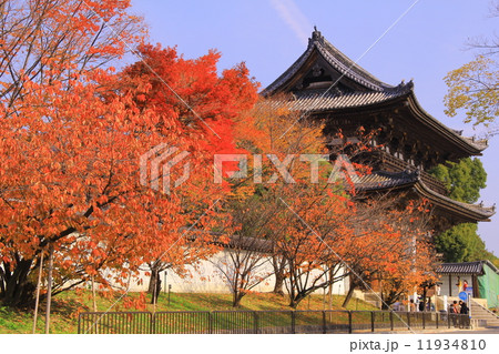 仁和寺 京都 仁王門前の紅葉の写真素材