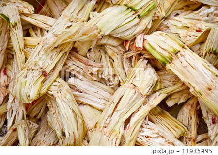 Sugarcane bagasse 11935495