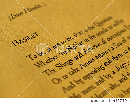William Shakespeare Hamlet William Shakespeare Hamlet 11935759