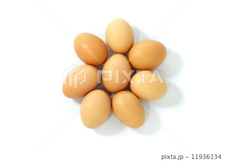 Egg isplated on white 11936134