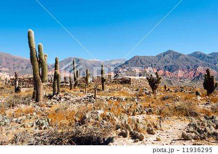 Colorful valley of Quebrada de Humahuaca, central Andes Altiplan Colorful valley of Quebrada de Humahuaca, central Andes Altiplan 11936295