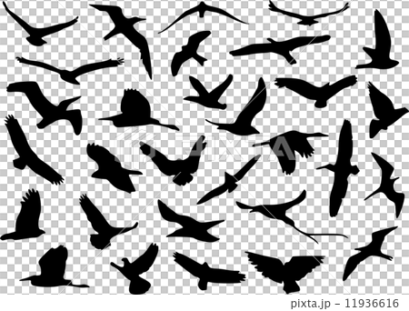 野鳥 イラスト のイラスト素材 野鳥 イラスト のイラスト素材