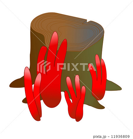 火炎茸 11936809