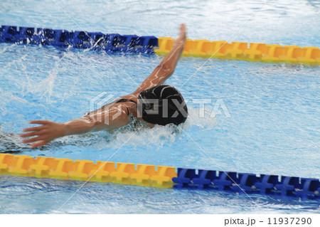 バタフライ バタフライ 11937290