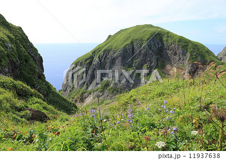 礼文島・桃岩遊歩道からの眺望 11937638