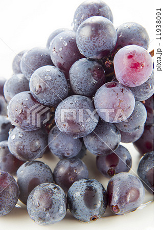 ぶどう 11938091
