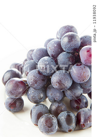 ぶどう 11938092