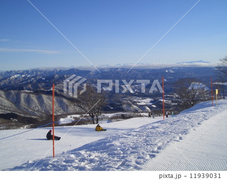 ダイナランド 11939031