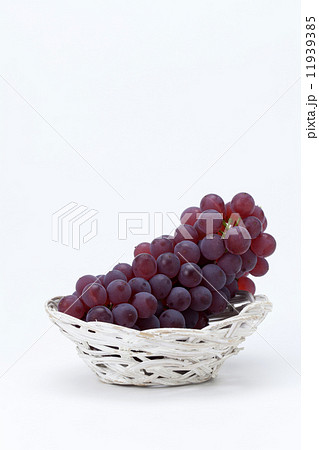 秋　ぶどう 11939385