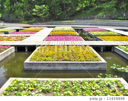 とっとり花回廊 11939896