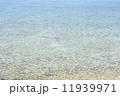 海 11939971