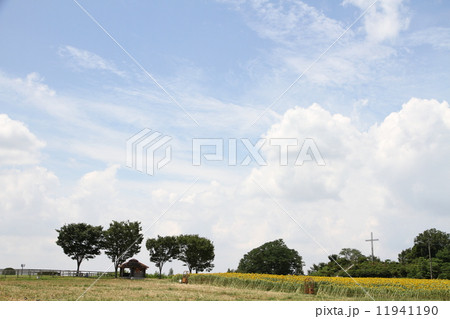 大空 11941190