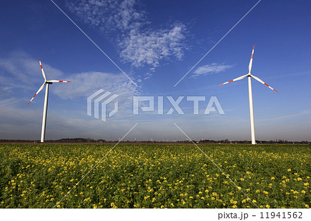 Wind Turbines with blue sky and the sun shining on green 11941562