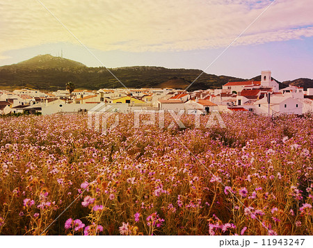 Es Mercadal on Minorca Es Mercadal on Minorca 11943247