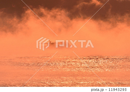 三原の海霧 11943293