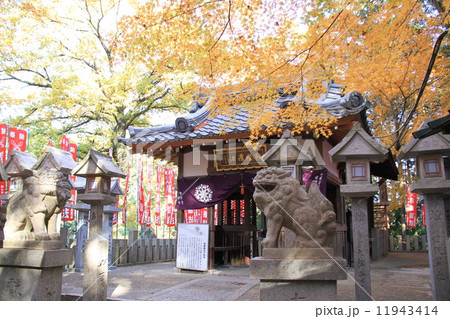 朝護孫子寺 11943414